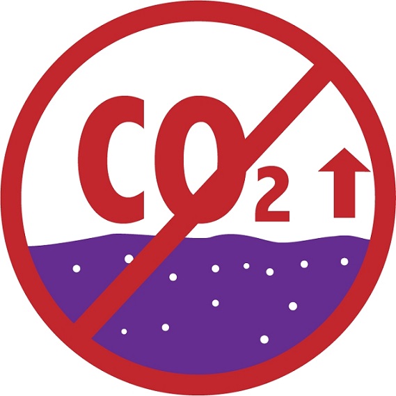 DAD CO2_4 (1)-1